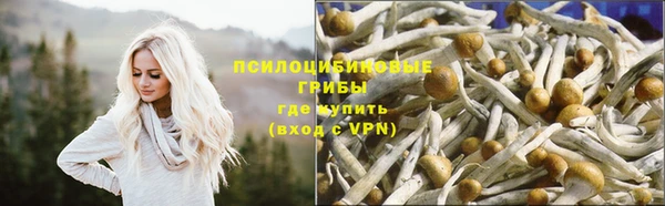 COCAINE Краснослободск